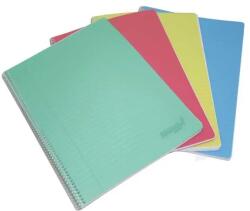 Aurora Caiet cu spirala, A4, 60 file - 80g/mp, coperta PP transparent color, Aurora - dictando (2960PPT) - forit
