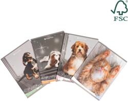 Caiete scolare import Caiet TIP2, 36 file, 80gsm, coperta carton 300gsm, design sweet pets (EP-696958)