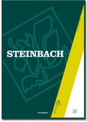 Aurora Bloc desen A3, 20 file - 250g/mp, Aurora Steinbach (BL18)
