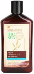 Sea of Spa Bio Spa sampon a festett és károsult hajra 400 ml
