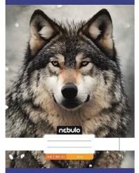 Nebulo Nebulo: Farkas sima füzet A4 80-32 (SI-AM-A4-12348244) - innotechshop