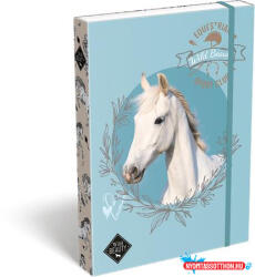 LIZZY Füzetbox, A4, LIZZYSULI, "Wild Beauty, Sport Club (COR_TICLFBWBA4)
