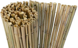  Tonkin bambusz tekercs sz: 180 cm x m: 100 cm