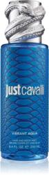 Roberto Cavalli Just Cavalli Vibrant Aqua parfümözött spray a testre hölgyeknek 250 ml