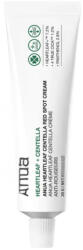 Anua Heartleaf Centella Red Spot Cream (8809640738197)