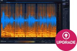 iZotope RX 12 Standard: Update from RX 11 Standard (Digitális termék)