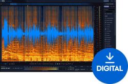 iZotope RX 12 Standard (Digitális termék)