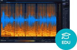 iZotope RX 12 Standard EDU (Digitális termék)