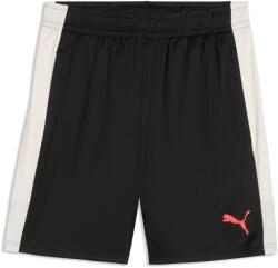 PUMA Individualliga Training Shorts (66057404)