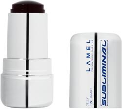 LAMEL Subliminal ? yber Bloom ajak- és arcpirosító No. 01