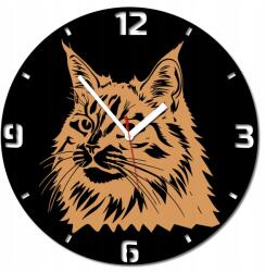  Falióra 40cm Maine Coon macska (AL000124TR_C02_S01)