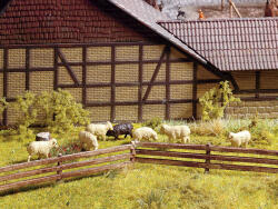 Noch 13040 Weidezaun (4007246130405)