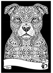 Colorvelvet Bársonyos Kifestőkönyv A4 Pitbull (CVCM-SD009)