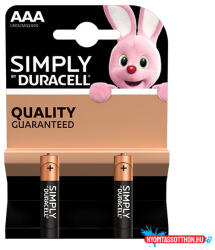 Duracell Elem mikro DURACELL Basic MN2400 AAA 2-es