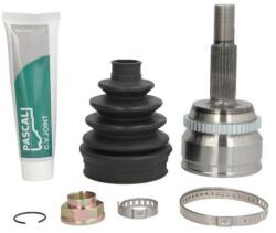 PASCAL Set articulatie, planetara PASCAL G12123PC (G12123PC) - fixbox