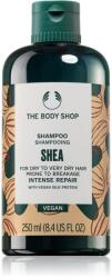 The Body Shop Shea Shampoo sampon hranitor 250 ml