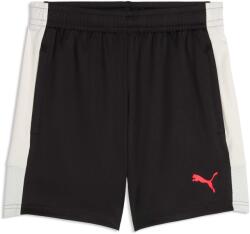 PUMA Individualliga Training Shorts Jr (66057504)