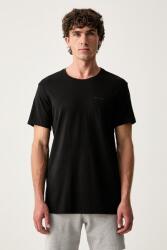 Palm Angels tricou basic pentru bărbați pachet de 3 99KK-TSMZZJ_99A (PLA1UMWTS04TR)
