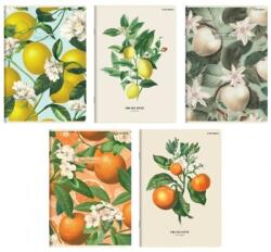 Herlitz Füzet A/5 vonalas HERLITZ 60lap Summer Harvest Club vegyes, minta nem választható