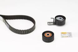 Continental Ctam Set curea de distributie CONTINENTAL CTAM CT1162K2 (CT1162K2)