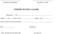  Cerere pentru cazare în internat și listă bunuri cameră A5 față-verso set 10 buc (C066)