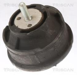 TRISCAN Suport motor TRISCAN 8505 11101 (8505 11101) - automobilus