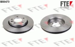 FTE Disc frana FTE 9072608 (9072608)