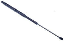 Denckermann Amortizor capota DENCKERMANN G110189 (G110189)