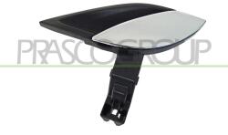 PRASCO Mâner usa, echipare interioara PRASCO FT5208602 (FT5208602)