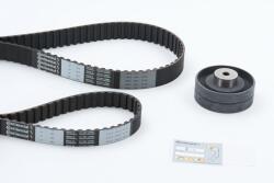 Continental Ctam Set curea de distributie CONTINENTAL CTAM CT704K2PRO (CT704K2PRO)