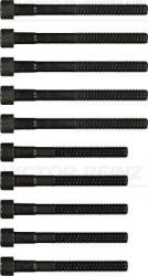 REINZ Set surub, chiulasa REINZ 14-55029-01 (14-55029-01)