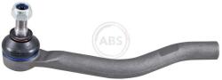 ABS Cap de bara ABS 231051 (231051)