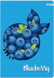 Lastva Füzet, LASTVA Neon Fruits Blueberry, A5, 52 lapos, kockás (FLNFBA552K)