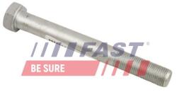 FAST Surub, brat oscilant FAST FT11895 (FT11895)