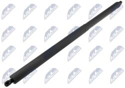 NTY Amortizor portbagaj NTY AE-FR-066 (AE-FR-066)