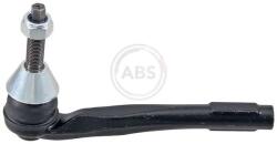 ABS Cap de bara ABS 231065 (231065)