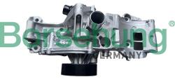 BORSEHUNG Pompă de apă, răcire motor BORSEHUNG B11216 (B11216)