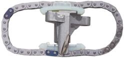 BorgWarner chit lant de distributie BorgWarner 59007150011 (59007150011)
