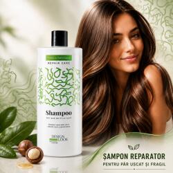 Design Look Sampon reparator pentru par uscat si fragil Design Look , 1 L (DLPEL400771)