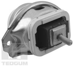 TEDGUM Suport motor TEDGUM TED44341 (TED44341)