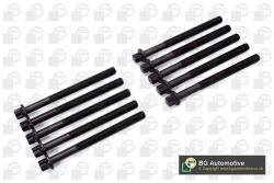 BGA Set surub, chiulasa BGA BK2339 (BK2339)