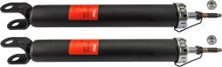 TRW amortizor TRW TWIN JGT1412T (JGT1412T)