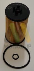 MOTAQUIP Filtru ulei MOTAQUIP LVFL842 (LVFL842)