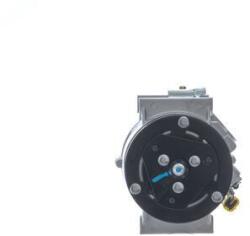 MAHLE Compresor, climatizare MAHLE BEHR ACP 1352 000S (ACP 1352 000S)