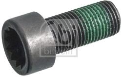 Febi Bilstein Surub volanta FEBI BILSTEIN 179619 (179619)