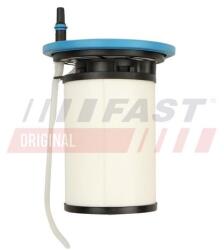 FAST filtru combustibil FAST FT39066 (FT39066)