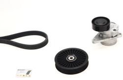 Continental Ctam Set curea transmisie cu caneluri CONTINENTAL CTAM 6DPK1841K2 (6DPK1841K2)