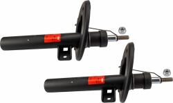 TRW amortizor TRW TWIN JGM211T (JGM211T)
