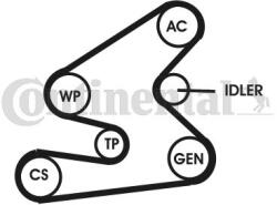 Continental Ctam Set curea transmisie cu caneluri CONTINENTAL CTAM 6PK1623D1 (6PK1623D1) - automobilus