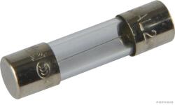 Herth+buss Elparts siguranta fuzibila HERTH+BUSS ELPARTS 50295054 (50295054) - automobilus